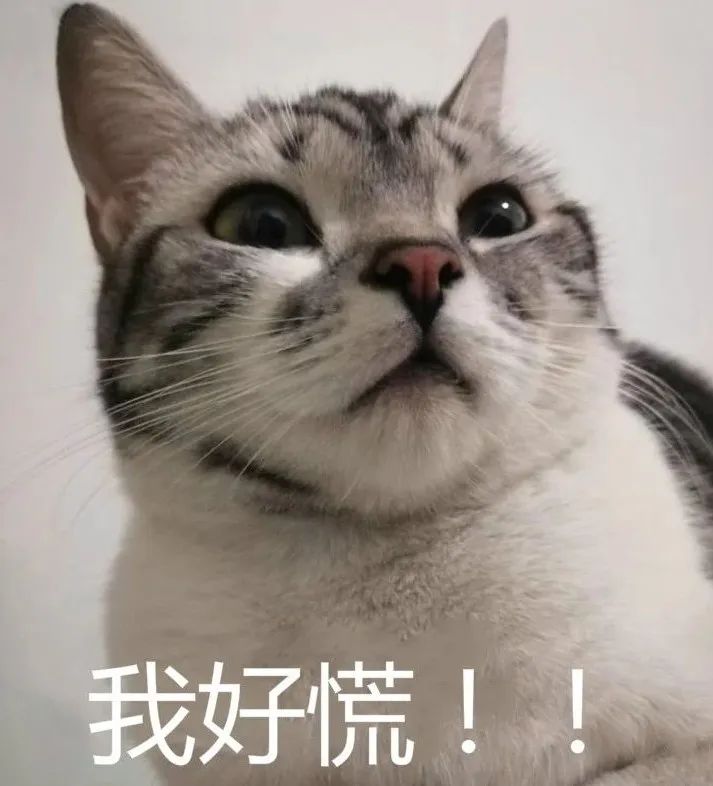 DƬ